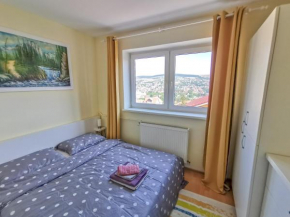 Apartment Near CFR Stadium